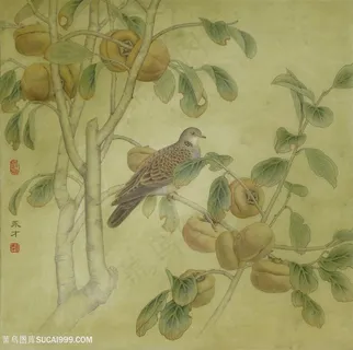树枝果实鸟装饰画