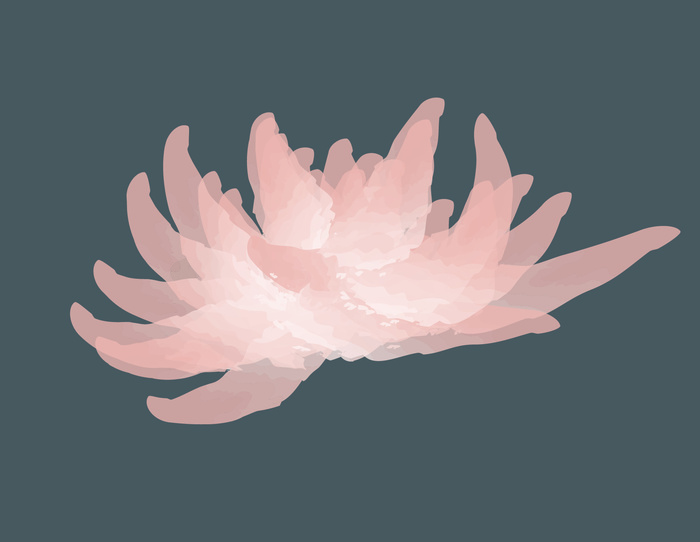 原创手绘素材花