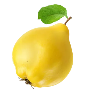 28香酥梨 (5)水果超市商品白底图免抠实物摄影png格式图片透明底