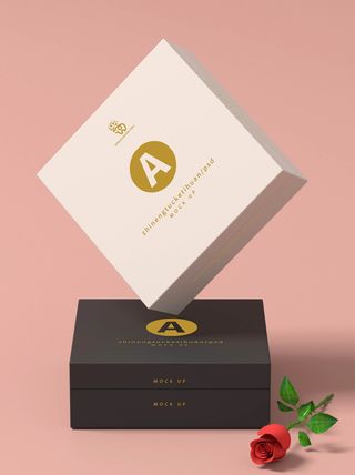 包装智能贴图样机VI效果PSD素材