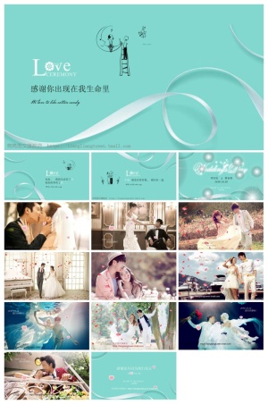 婚礼策划相册精美ppt模板 (2)预览图