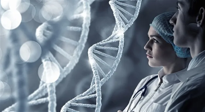 科研人员正在看生物模型高清图