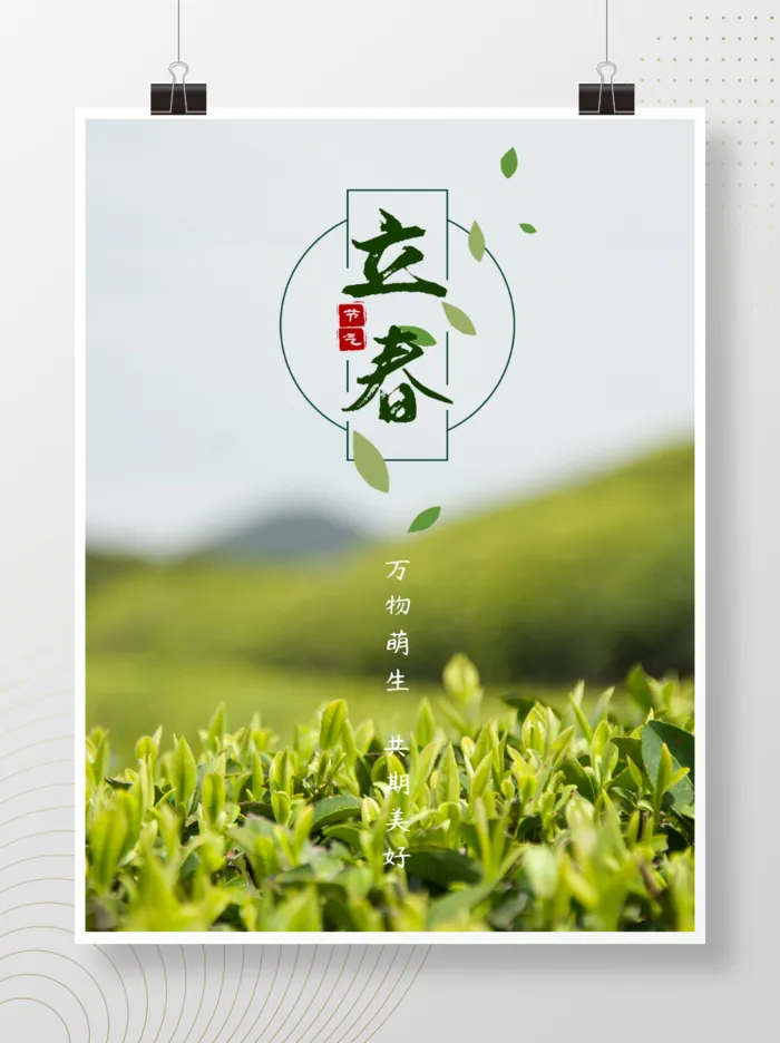 立春春天茶叶茶田海报psd模版下载