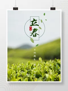 立春春天茶叶茶田海报