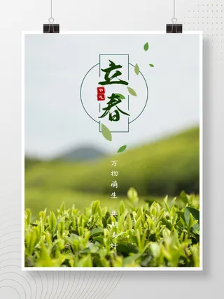 立春春天茶叶茶田海报