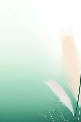 清新大气绿色芦苇羽毛背景