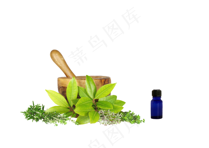 手绘草本中药药材