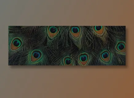 孔雀花全景摄影环境贴图