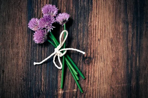 紫色蒜台花图片 紫色蒜台花图片