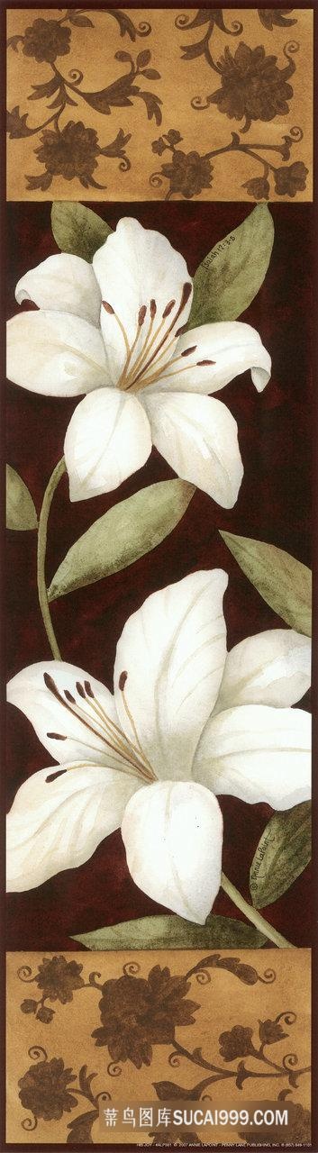 唯美白色兰花艺术油画