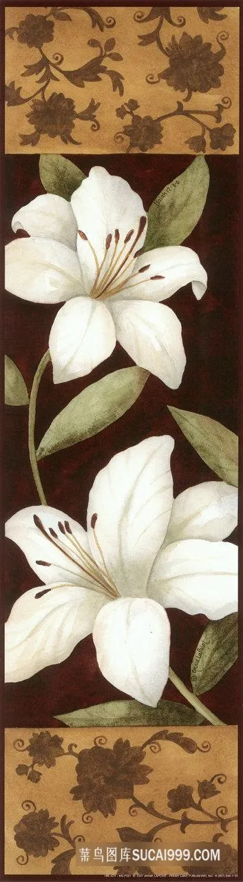 唯美白色兰花艺术油画