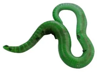 蚯蚓 PNG免抠