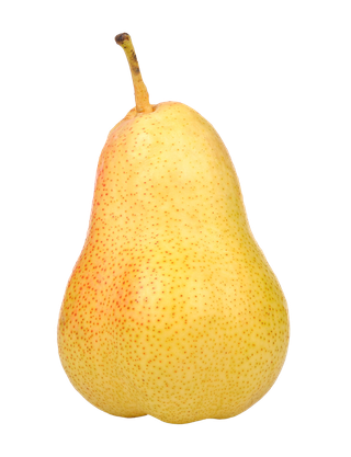 梨 (17)水果超市商品白底图免抠实物摄影png格式图片透明底