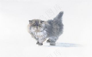 猫猫咪图素材