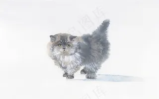 猫猫咪图素材