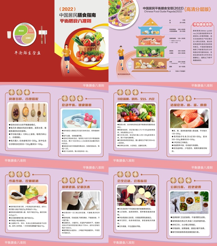中国居民膳食指南八准则画册设计cdr矢量模版下载