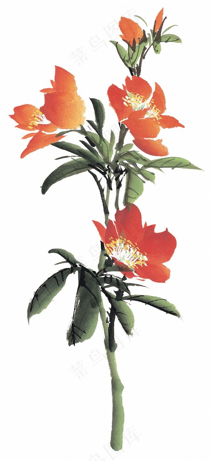 花卉国画欣赏图片素材