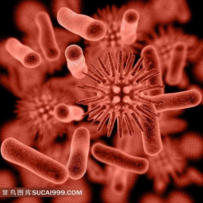 微生物病毒图片