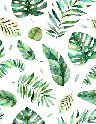 时尚创意夏季热带雨林叶子