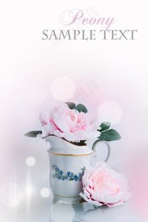 粉色牡丹花图片下载