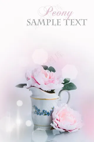 粉色牡丹花图片下载