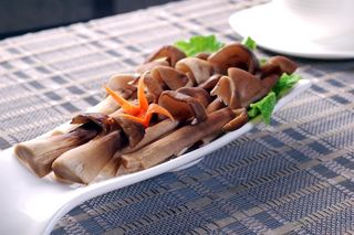 蘑菇香菇金针菇杂菇菌类美食素菜