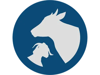 现代农业圆形羊