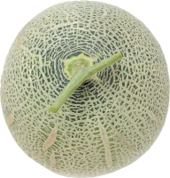 77_melon_PNG14357