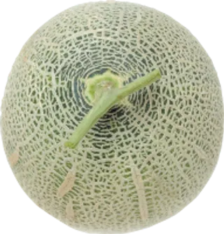 77_melon_PNG14357
