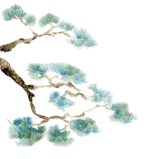 清新古风装饰松树