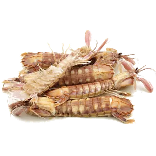 虾类(35)海鲜超市商品红酒白底图免抠实物摄影png格式图片透明底