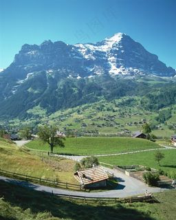 雪山下山坡旁的绿色稻田