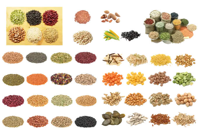 免抠谷物，米，五谷，黄豆，矢量