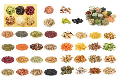 免抠谷物，米，五谷，黄豆，矢量