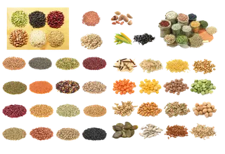 免抠谷物，米，五谷，黄豆，矢量