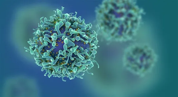 生物结构高清图片 生物结构高清图片