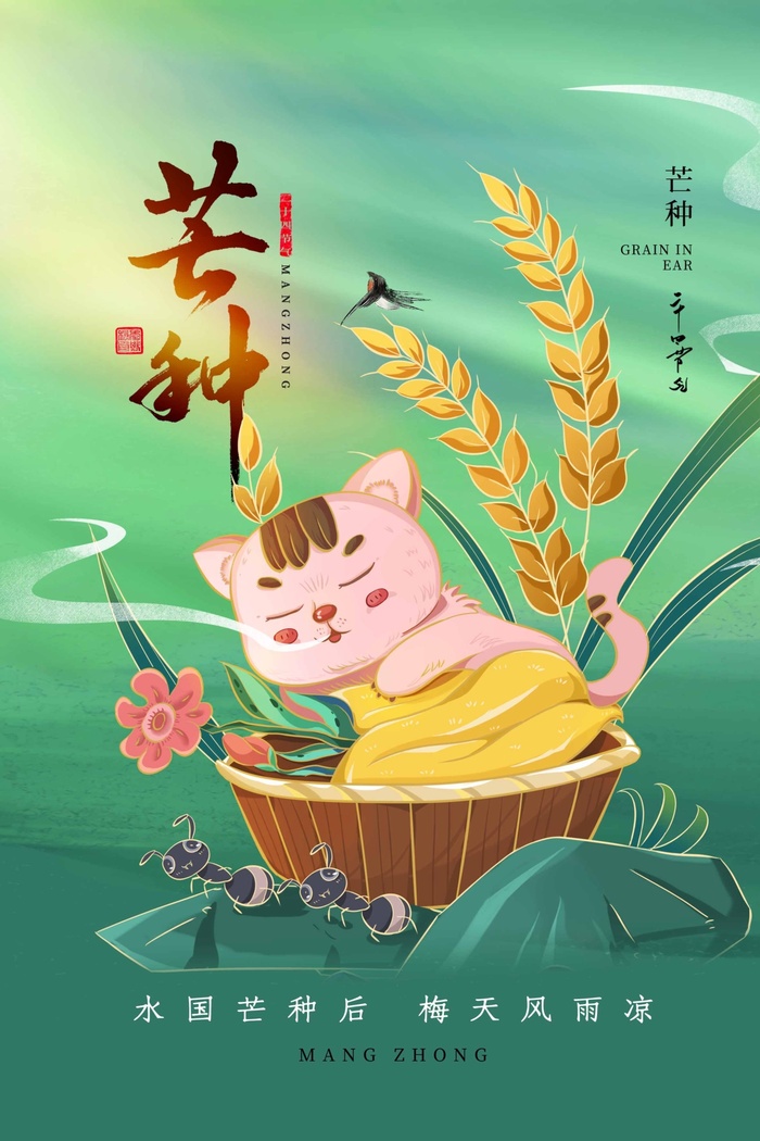 芒种 芒种宣传海报psd模版下载