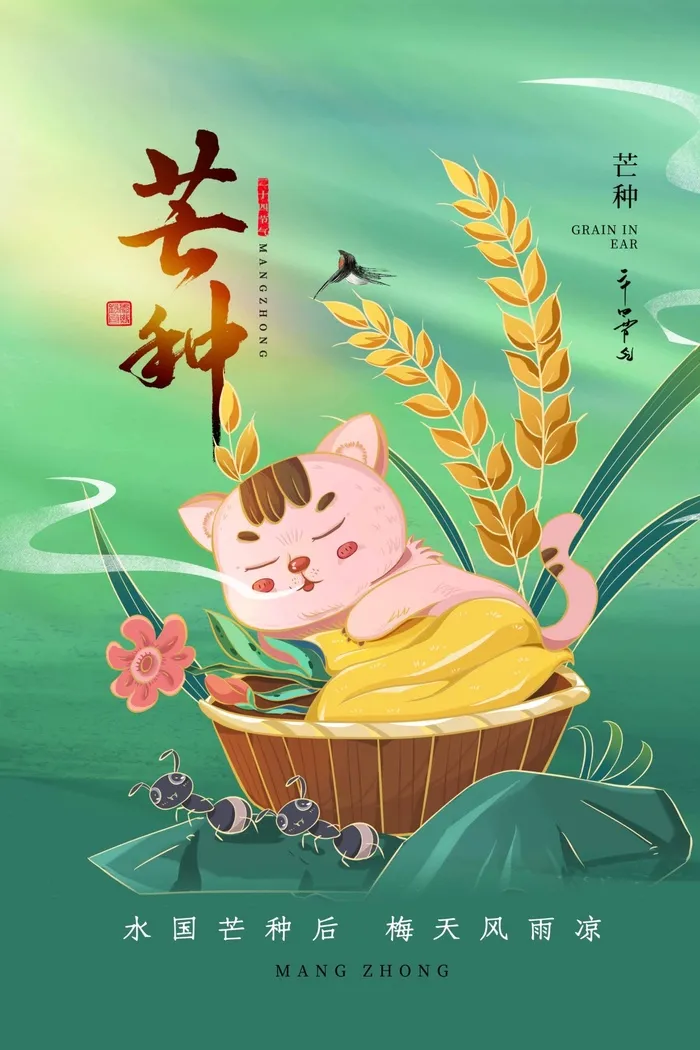 芒种 芒种宣传海报psd模版下载