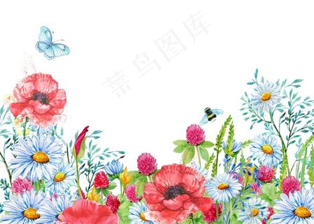 多彩漂亮的花朵边框背景高清图片