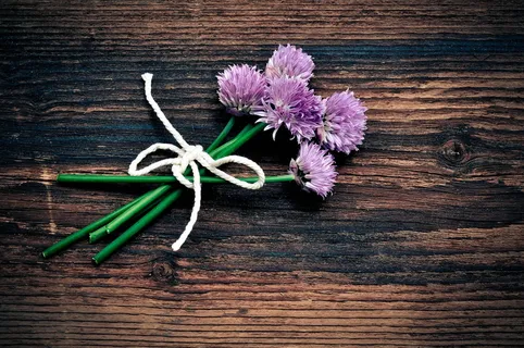 韭菜花图片 韭菜花图片