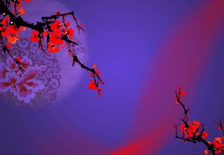 红梅古典织锦花纹