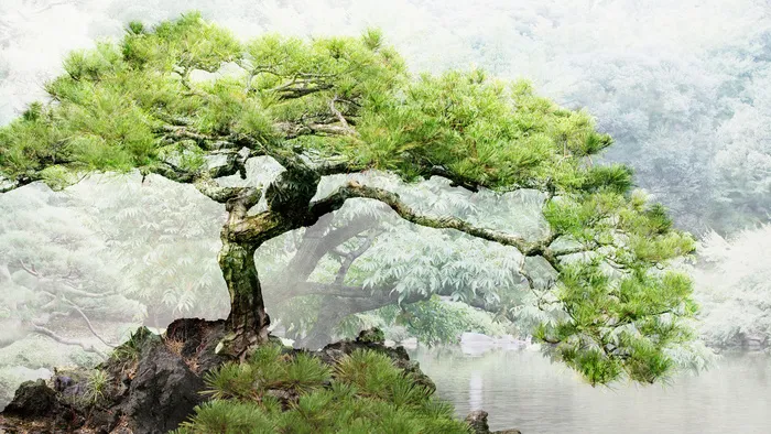自然风光 高清壁纸 (69) 自然风光 高清壁纸 (69)