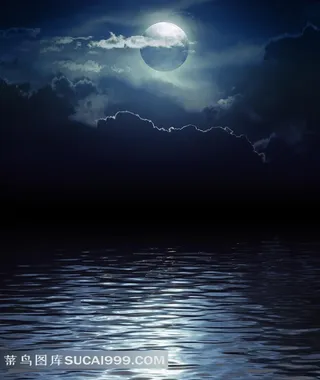 高高挂在天空上的月亮高清壁纸