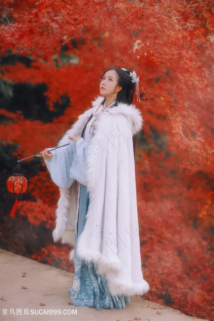 提着灯笼的古装美女图片