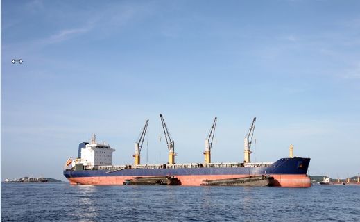 海边大海风景背景墙