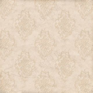 华丽的欧式花纹