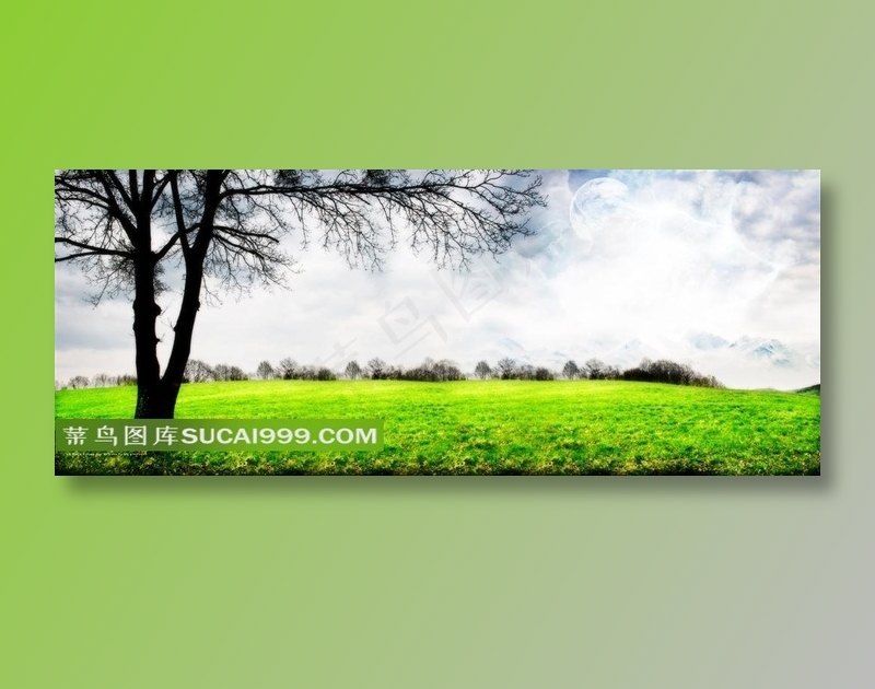 广阔绿色草地上的一颗树