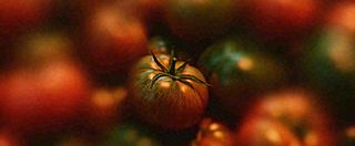 蔬菜西兰花西红柿番茄摄影摄影图