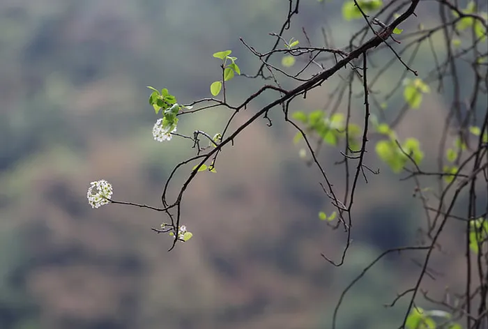 美丽的天空风景 素材