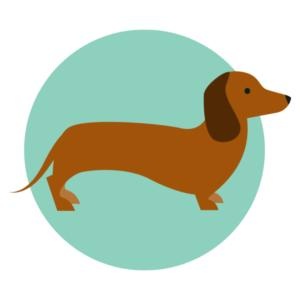 腊肠犬 PNG免抠(300x300)